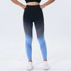 HerCurve Gradient Seamless Leggings